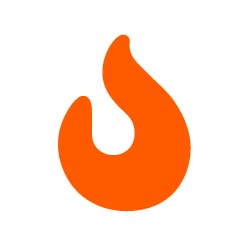Gas or Electric Fire